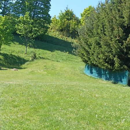 Apartamenty Sowianka Ludwikowice Kłodzkie Exteriér fotografie