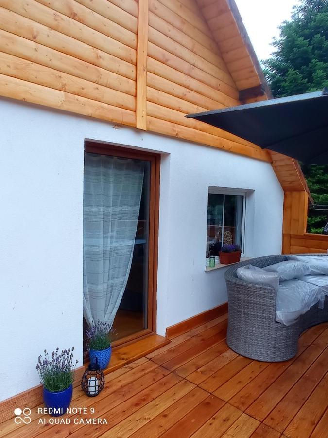 Apartamenty Sowianka Ludwikowice Kłodzkie Exteriér fotografie