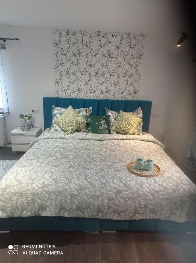 Apartamenty Sowianka Ludwikowice Kłodzkie Exteriér fotografie