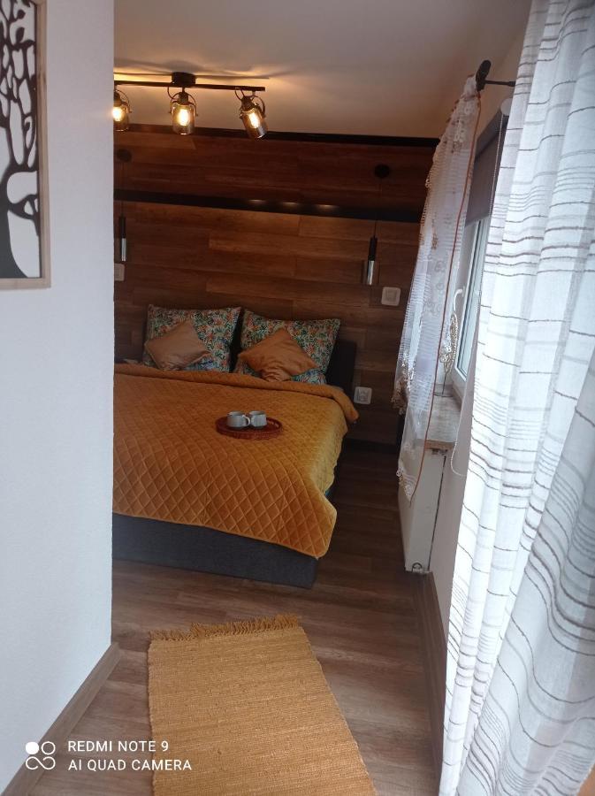 Apartamenty Sowianka Ludwikowice Kłodzkie Exteriér fotografie