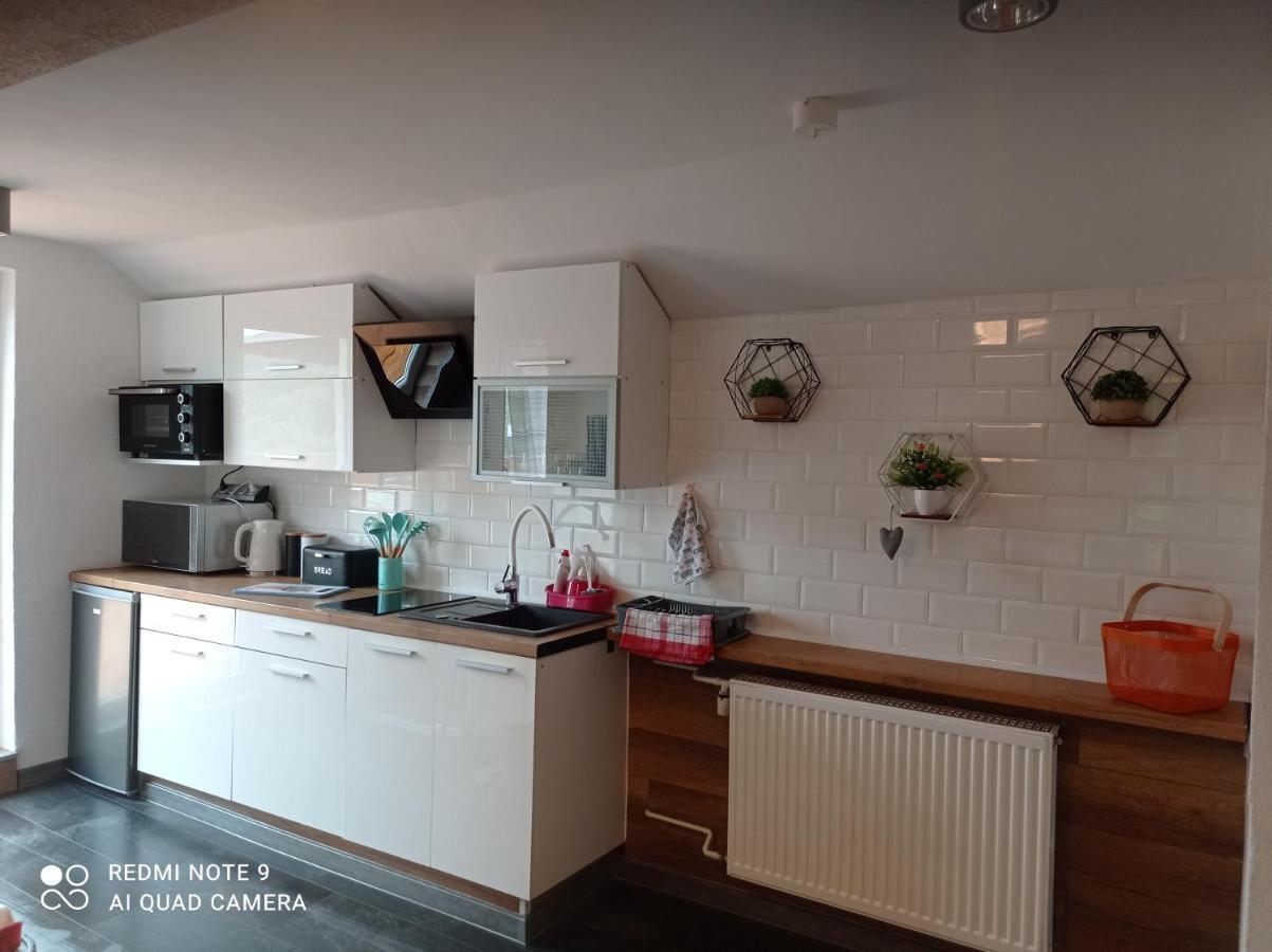 Apartamenty Sowianka Ludwikowice Kłodzkie Exteriér fotografie