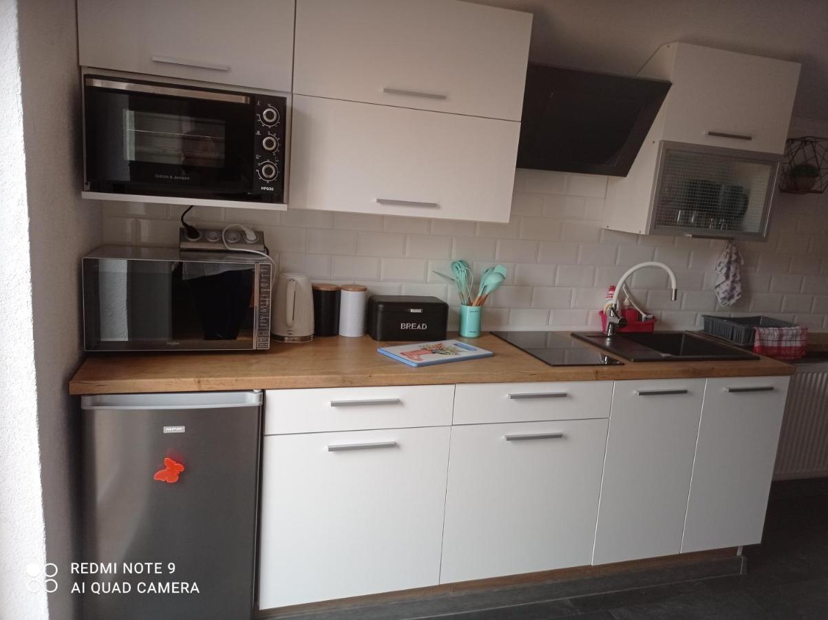 Apartamenty Sowianka Ludwikowice Kłodzkie Exteriér fotografie