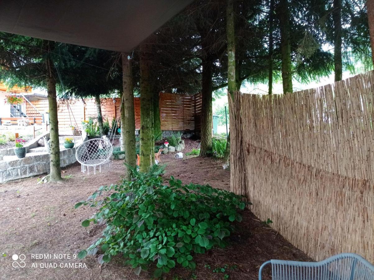 Apartamenty Sowianka Ludwikowice Kłodzkie Exteriér fotografie