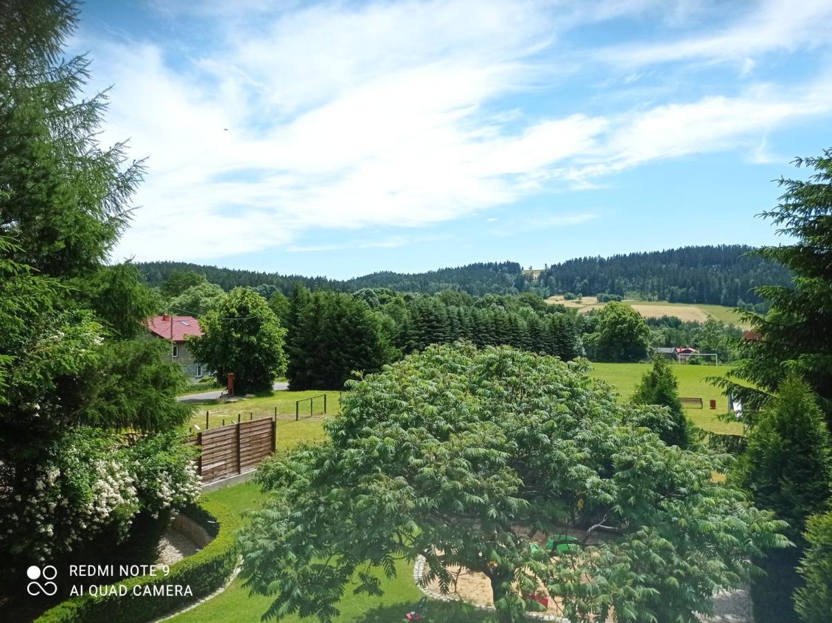 Apartamenty Sowianka Ludwikowice Kłodzkie Exteriér fotografie
