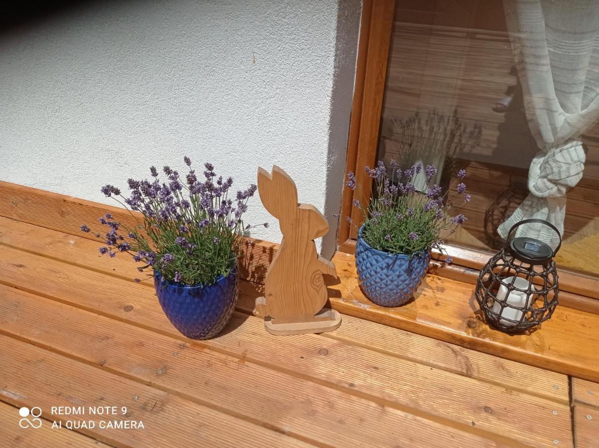 Apartamenty Sowianka Ludwikowice Kłodzkie Exteriér fotografie