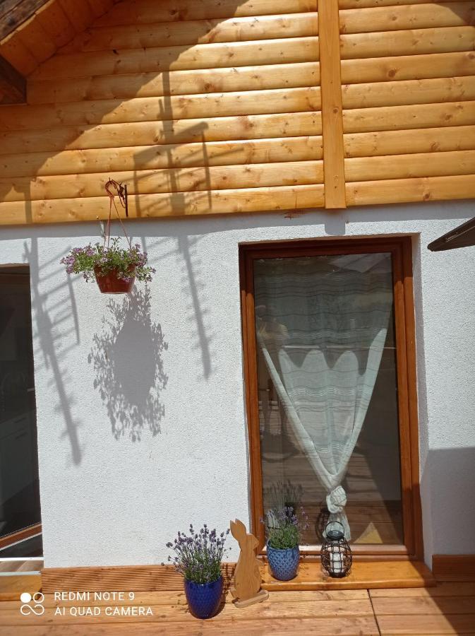 Apartamenty Sowianka Ludwikowice Kłodzkie Exteriér fotografie