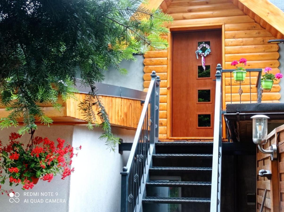 Apartamenty Sowianka Ludwikowice Kłodzkie Exteriér fotografie