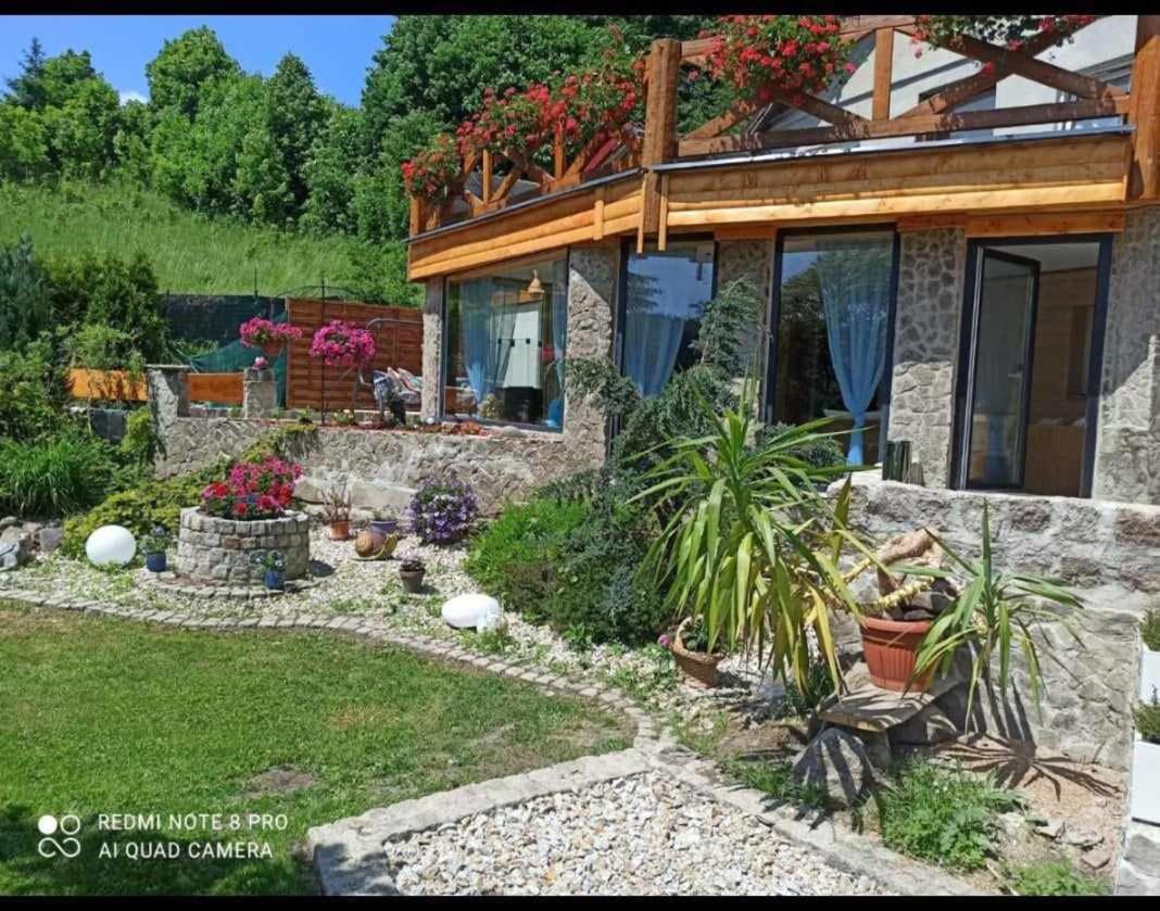 Apartamenty Sowianka Ludwikowice Kłodzkie Exteriér fotografie